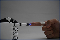 染谷・横田・山岸研究室